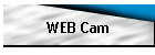 WEB Cam