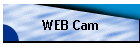 WEB Cam